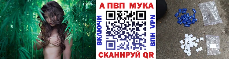 Где купить наркоту Мураши МЕГА tor МЕФ APVP ГАШ МАРИХУАНА