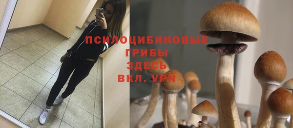 амф Алзамай