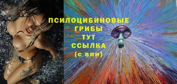 гашик Алексеевка